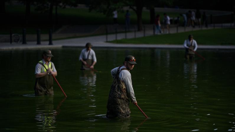 WASHINGTON DC JUNE 14 National Park Service employees work to clean up algae in the Lincoln Memorial Reflecting Pool...
