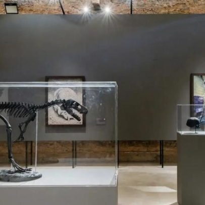 Museu Nacional precisa de R$ 164 milhões para concluir reconstrução