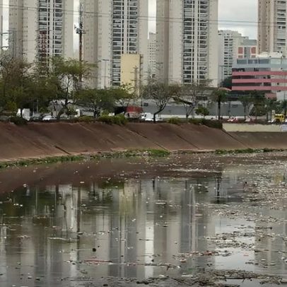 Rio Tietê não tem trecho livre de contaminação, aponta SOS Mata Atlântica