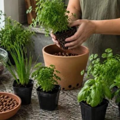 Horta de temperos na cozinha traz autonomia e frescor ao dia a dia