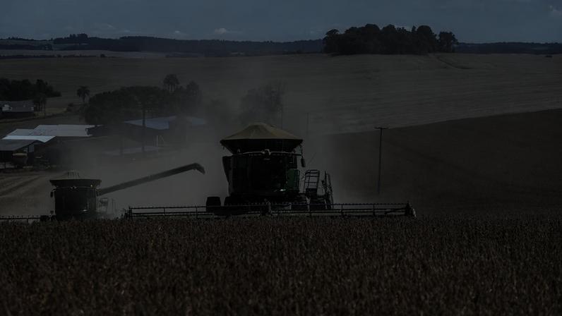 Inadimplência rural continua concentrada principalmente em dívidas com instituições financeiras, segundo o Serasa