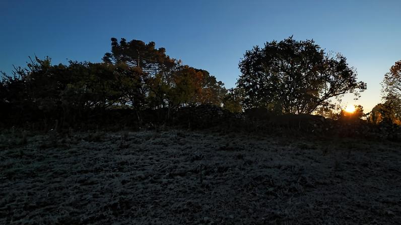 São Joaquim, na serra catarinense, registrou muita geada e temperatura negativa em 15-6-26 (Foto: Mychel Legnaghi - São Joaquim Online)