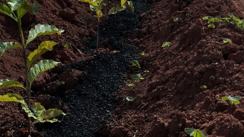 Bioinsumo biochar atrai R$ 600 milhões em investimentos