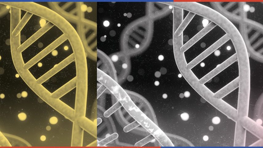 Duas hélices de DNA, uma amarela à esquerda e outra cinza à direita, sobre fundo escuro com pontos de luz. As hélices são interligadas por barras horizontais, e a imagem tem bordas superior e inferior coloridas em azul e vermelho.