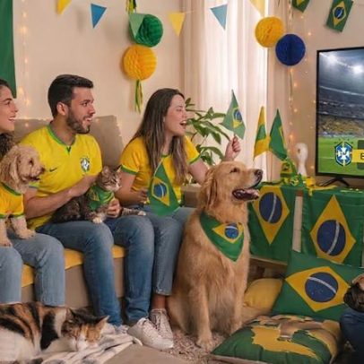 Proteção de cães e gatos durante jogos e celebrações da Copa dos Pets