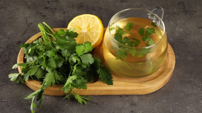 6 chás para os rins: opções naturais para complementar os cuidados com a saúde