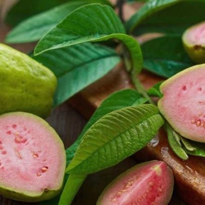 Consumo de goiaba está ligado à melhora significativa da anemia