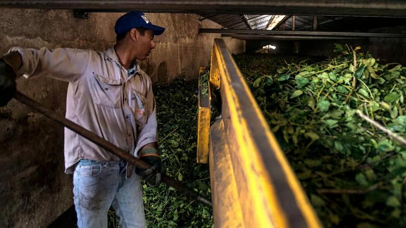 Associações estima que 8.000 trabalhadores registrados já se mudaram para o Brasil em busca de melhores salários.