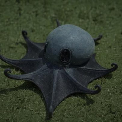 Nova espécie de polvo azul identificada em Galápagos do tamanho de bola de golfe