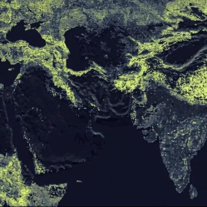 Mapa global das redes fúngicas micorrízicas da Terra pode ajudar a protegê-las