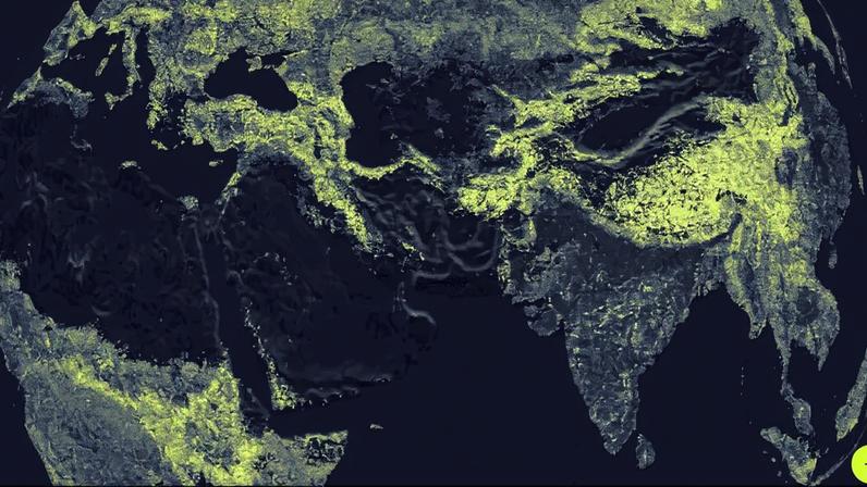 Mapa global das redes fúngicas micorrízicas da Terra pode ajudar a protegê-las