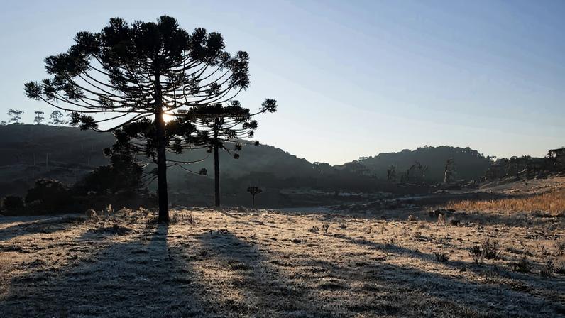 Em maio, Urupema registrou temperaturas abaixo dos -5ºC durante o outono. (Foto: Marcelo Pagani/Diretoria de Turismo da prefeitura de Urupema)