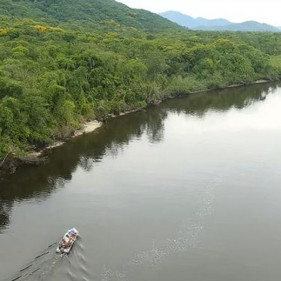 Proposta do BR do Mar ameaça último santuário ecológico do litoral brasileiro