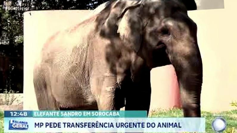 Reprodução canal do Youtube Record Paulista
