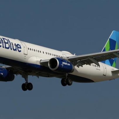 Passageira filma ratazana em voo; companhia aérea se desculpa