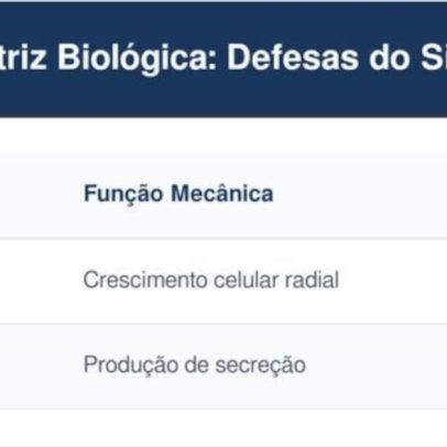 Uso de hastes flexíveis empurra cera para o tímpano e pode causar surdez