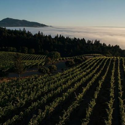 Cinco vinícolas de maior altitude do mundo recebem visitantes