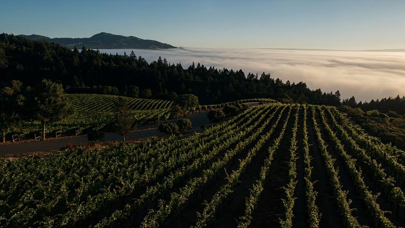 Cinco vinícolas de maior altitude do mundo recebem visitantes