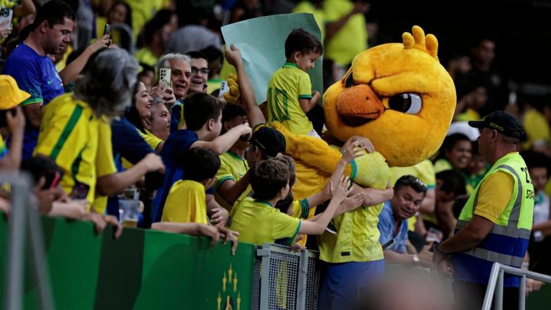 Na força do grito: como a torcida afeta o mental dos atletas na Copa
