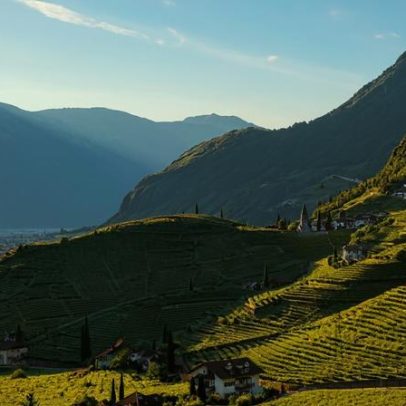 Itália lança novo fundo de crise para viticultores no Trentino