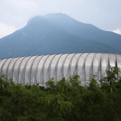 Tunísia e Japão fazem jogo histórico na 1.000ª partida das Copas
