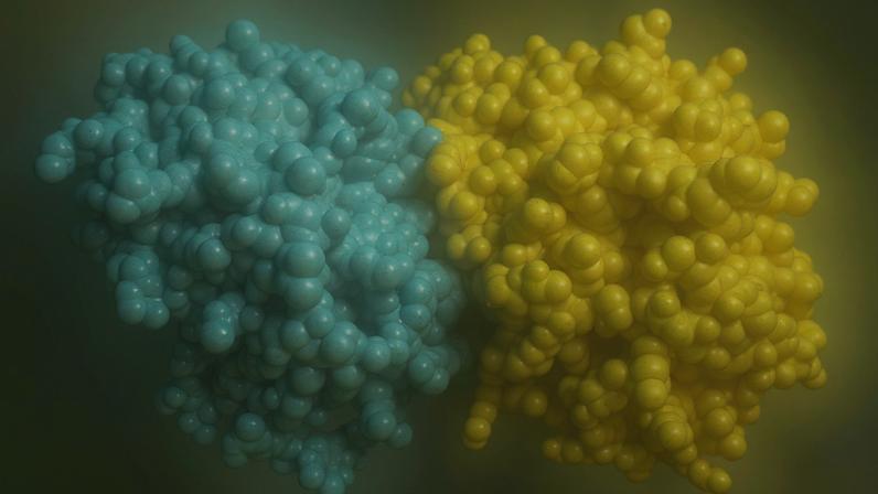 Proteína escondida pode frear Alzheimer e Parkinson no cérebro