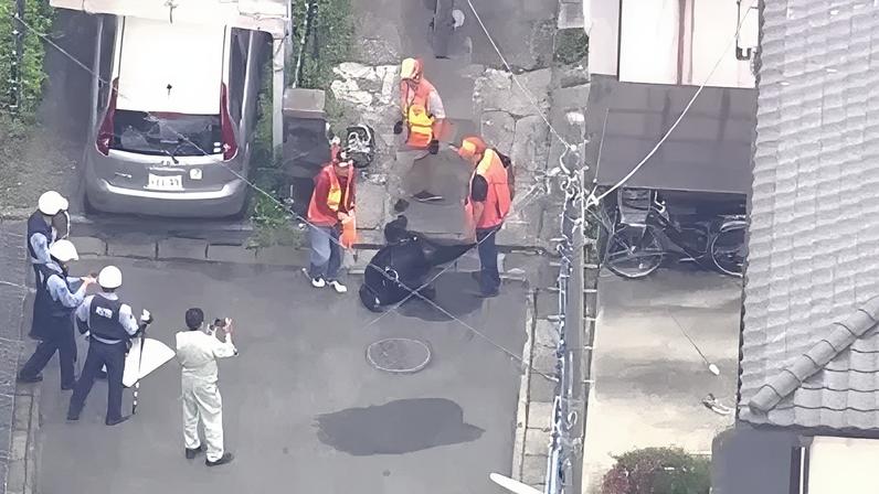 Urso que causou o fechamento de escolas no Japão é capturado