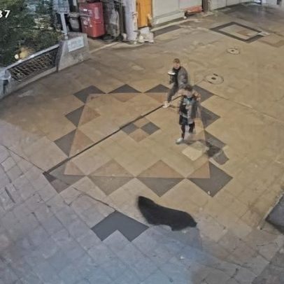Urso negro selvagem é capturado no Japão após caçada que chamou atenção