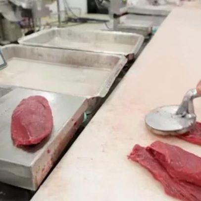 Brasil espera retornar à lista de fornecedores de carnes da UE em 9 de julho.