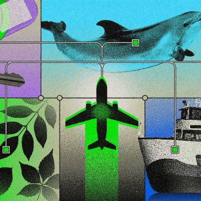 A nova era da viagem sustentável