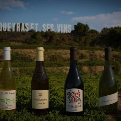 Vacqueyras 2022 provado de garrafa: 25 melhores vinhos do sul do Rhône