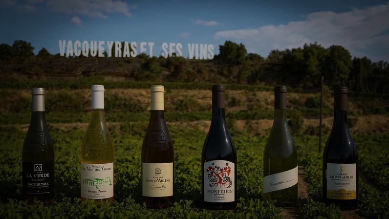 Vacqueyras 2022 provado de garrafa: 25 melhores vinhos do sul do Rhône