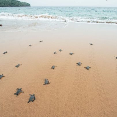São Tomé anuncia duas das oito áreas marinhas protegidas planejadas