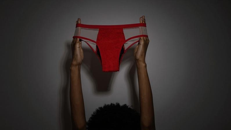 Para as executivas, ampliar o acesso a produtos menstruais significa criar condições para que meninas e mulheres possam estudar, trabalhar e participar da vida social sem interrupções (Pantys/Divulgação)