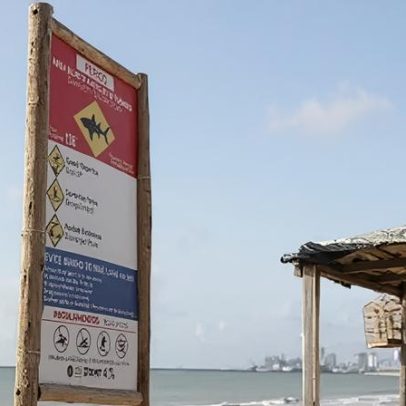 O que sabemos sobre ataques de tubarões em praias de Pernambuco
