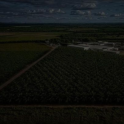 Fim da escala 6x1 pode aumentar demanda por mão de obra no campo