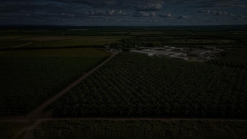 Fazenda da Timbaúba, que produz suco de uva e água de coco
