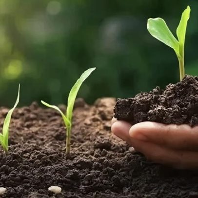 Entregas de fertilizantes sobem 3,8% no 1º trimestre