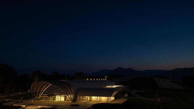 Levantine Hill winery