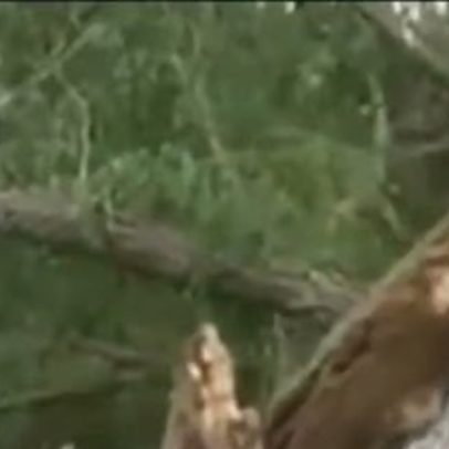 Série de tornados ameaça mais de 100 milhões de pessoas nos EUA