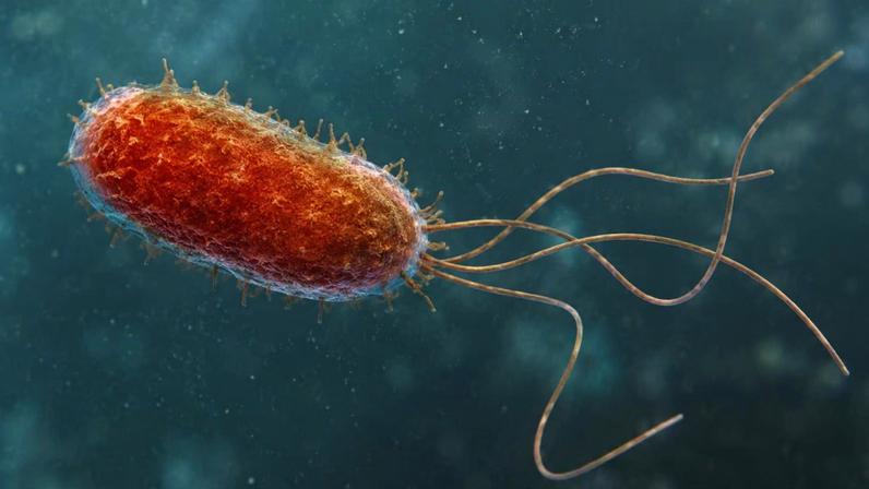 Microrganismos do Mar Morto desenvolveram caudas reforçadas para sobreviver em salinidade extrema (Imagem: Fala Ciência via ChatGPT)