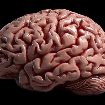 Cérebro pode continuar evoluindo até os 90 anos, aponta estudo
