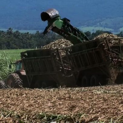 El Niño pode impactar a produção brasileira de açúcar