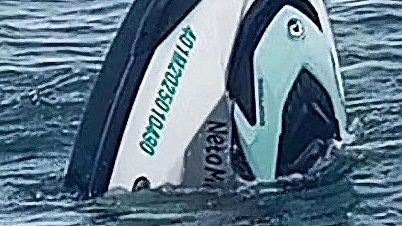 Corpo encontrado em Ilhabela é de jovem que sumiu em passeio de moto aquática, confirma Marinha