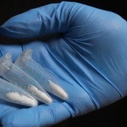 Pesquisa aponta associação entre uso de cocaína e homicídios