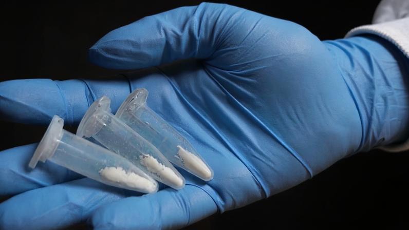 'Dados mostram associação importante entre uso de cocaína e mortes por homicídios', diz pesquisador