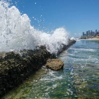 Ataques de tubarão em PE: especialistas apontam relação com obras, clima e mangue