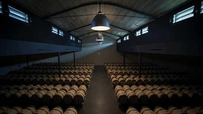 The Chai des Jasmins at Château Palmer