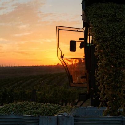 Rumo ao oeste de Melbourne: Geelong e Bellarine, segredo do vinho de Victoria