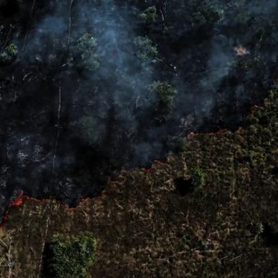 Amazônia: queda de até 13,9% nas chuvas no sul até 2050